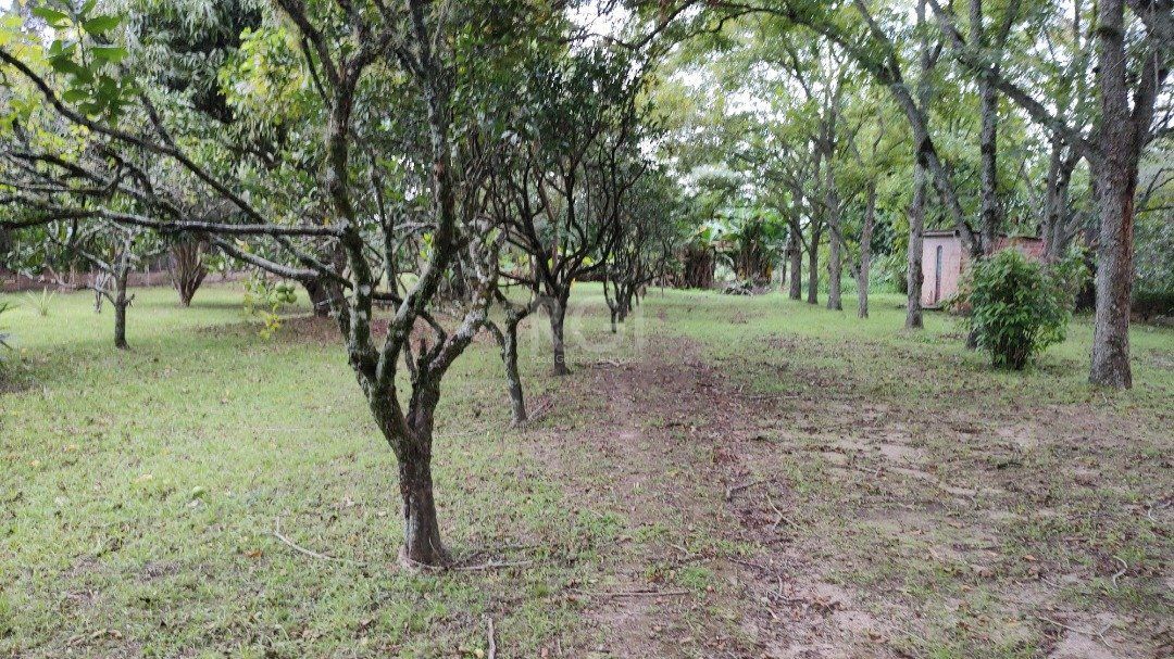 Sítio à venda com 6 quartos, 249m² - Foto 28