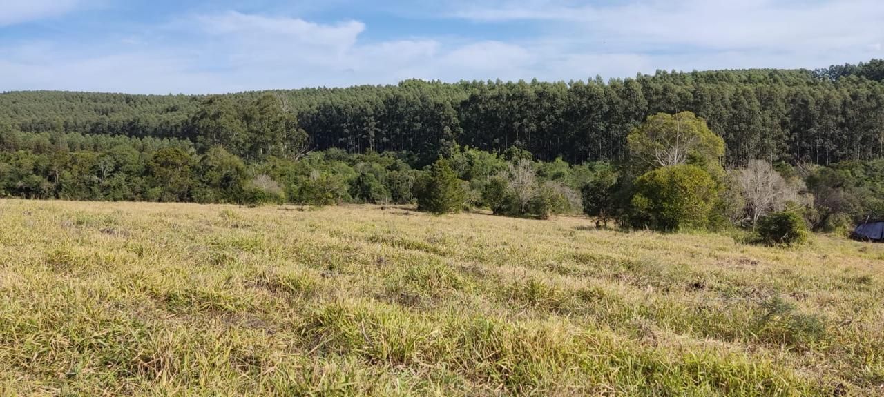 Sítio, 3 quartos, 12 hectares - Foto 17