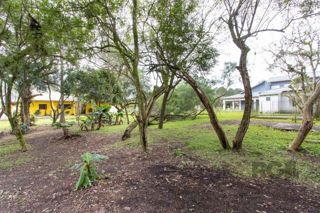 Sítio à venda com 3 quartos, 350m² - Foto 5