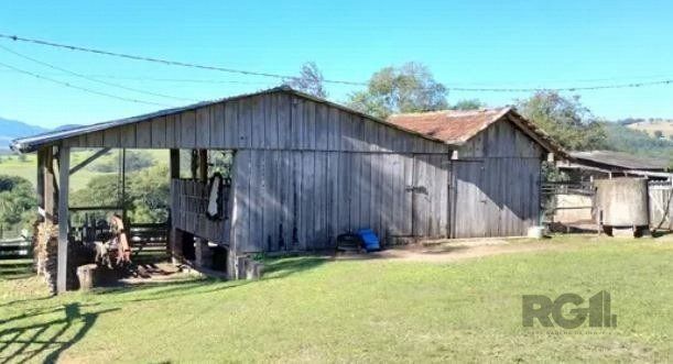 Sítio, 3 quartos, 3800 m² - Foto 5