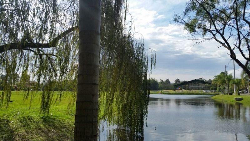 Terreno à venda, 1m² - Foto 6