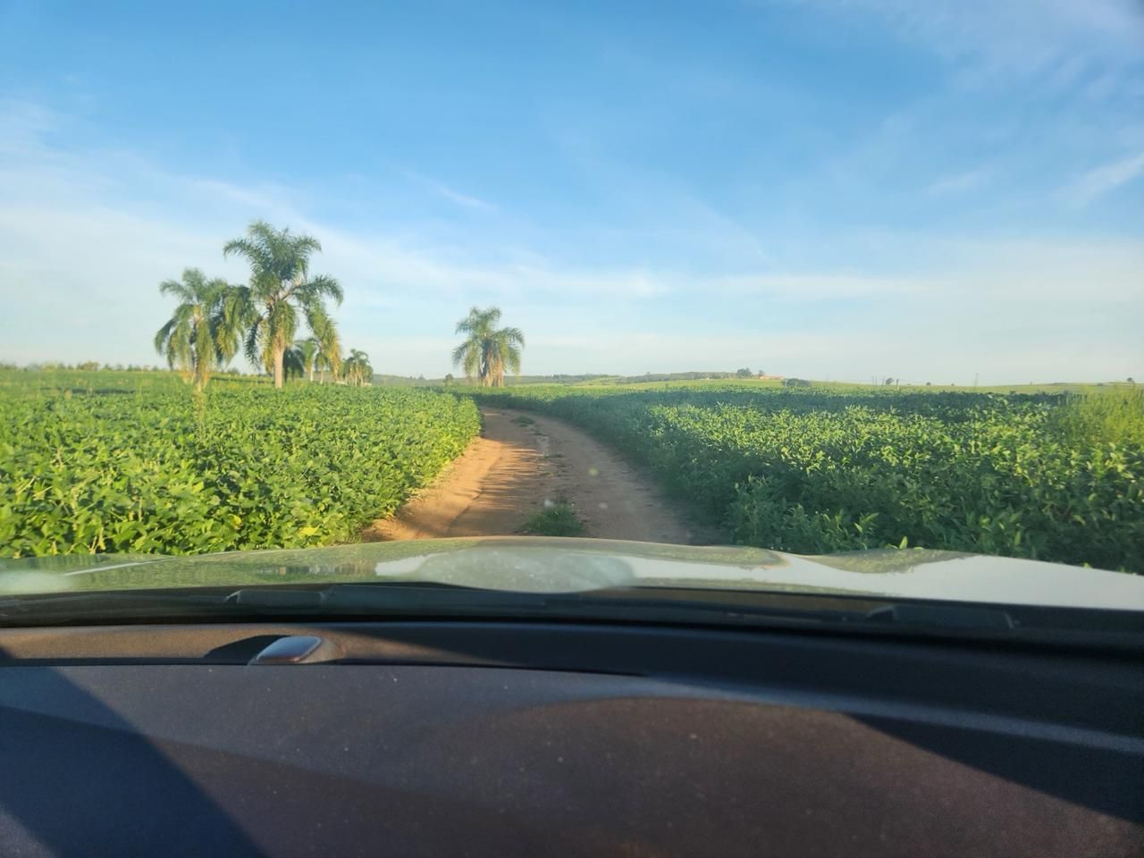 Fazenda à venda com 3 quartos, 250m² - Foto 1