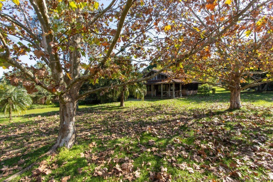 Chácara, 2 quartos, 3060 m² - Foto 10