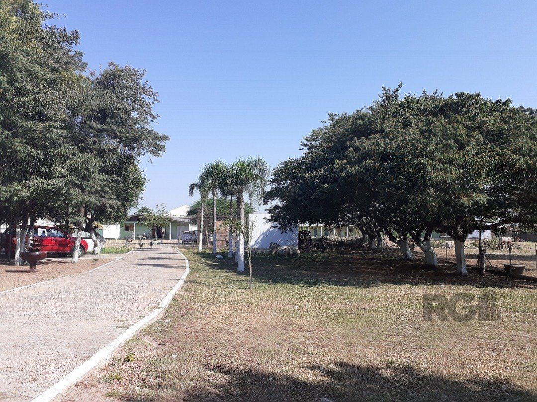 Sítio à venda com 2 quartos, 10000m² - Foto 4
