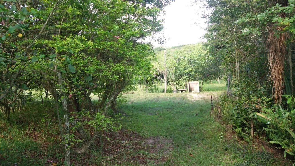 Terreno, 4 hectares - Foto 3