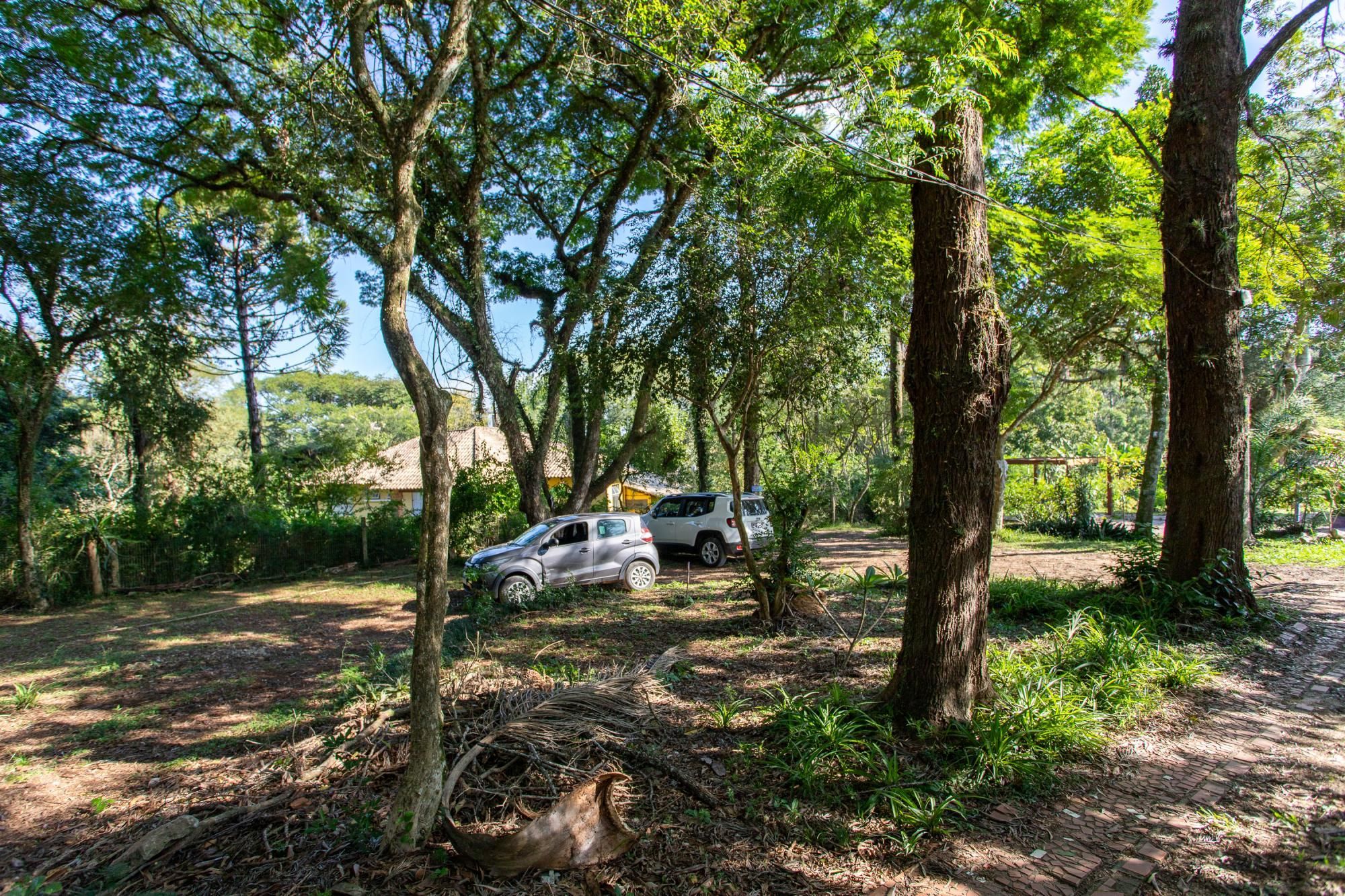 Sítio à venda com 1 quarto, 101m² - Foto 4