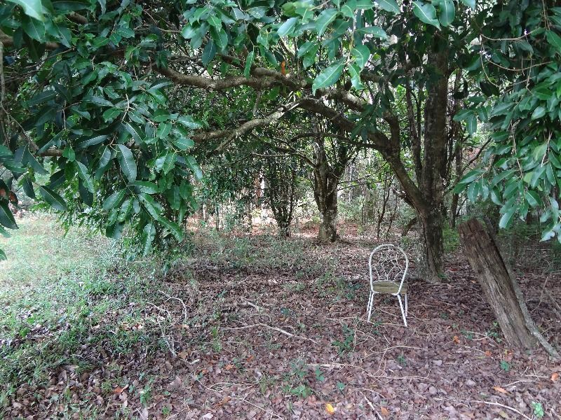 Terreno à venda, 145000m² - Foto 6