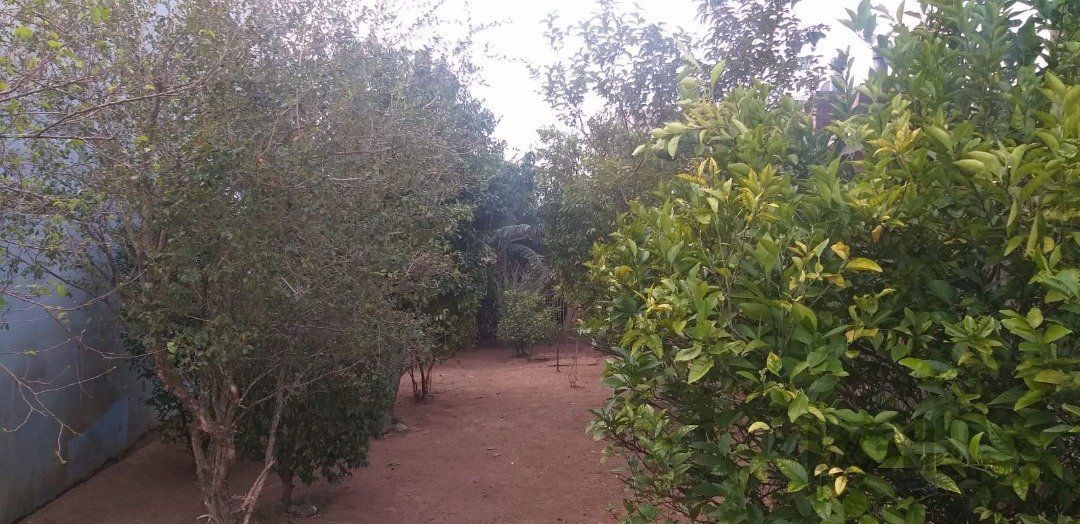 Terreno, 218 m² - Foto 4