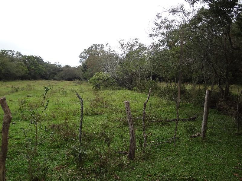 Terreno à venda, 145000m² - Foto 20