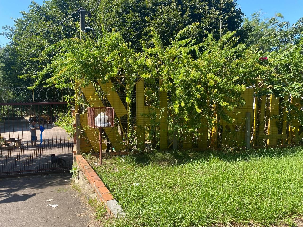 Casa, 3 quartos, 243 m² - Foto 30