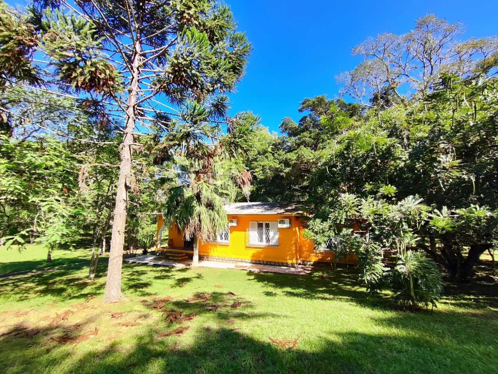 Seu refúgio na zona sul! Chácara incrível em Belém Velho – 1,5 hectare com casa encantadora e açude!