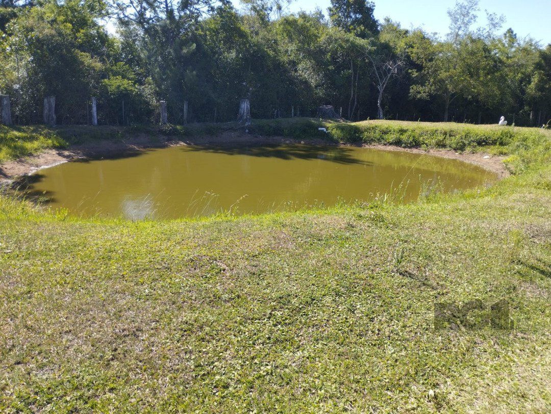 Chácara, 4 quartos, 10000 m² - Foto 3