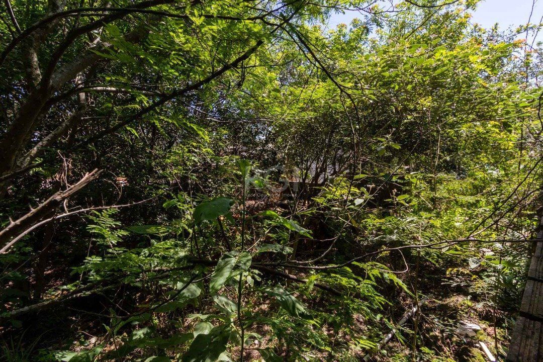 Casa, 3 quartos, 2200 m² - Foto 27