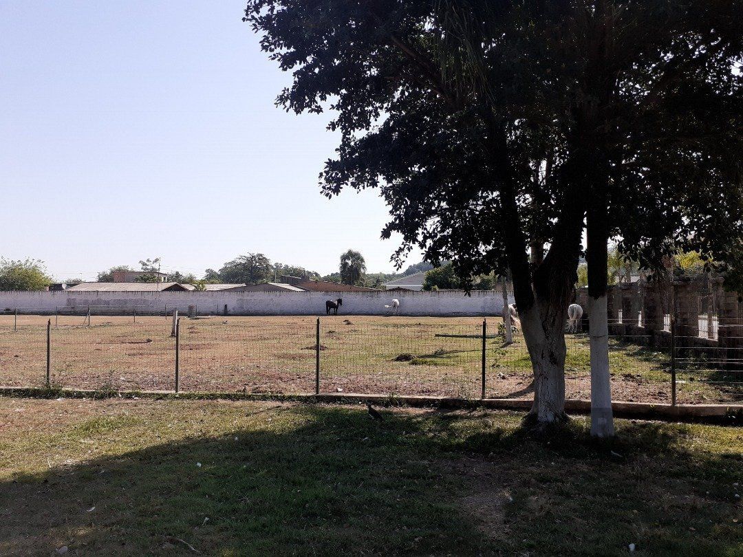 Sítio à venda com 2 quartos, 10000m² - Foto 2