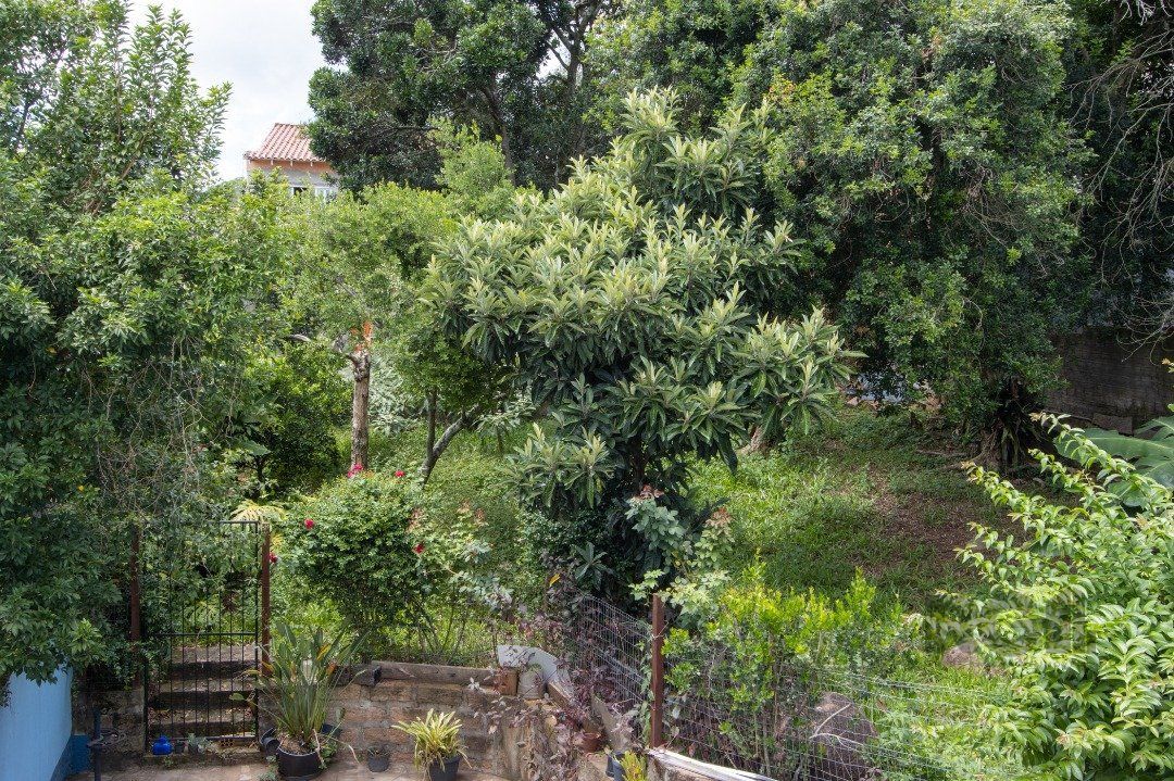 Casa, 5 quartos, 312 m² - Foto 45