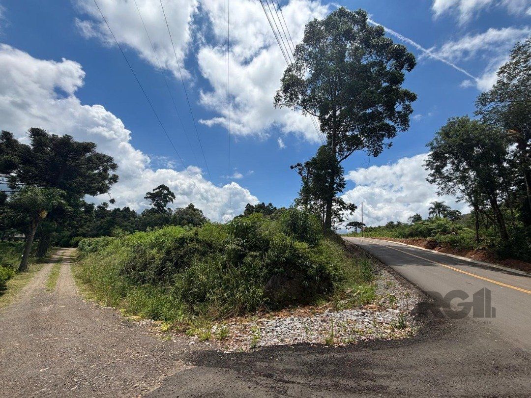 Chácara, 6 quartos, 5000 m² - Foto 5