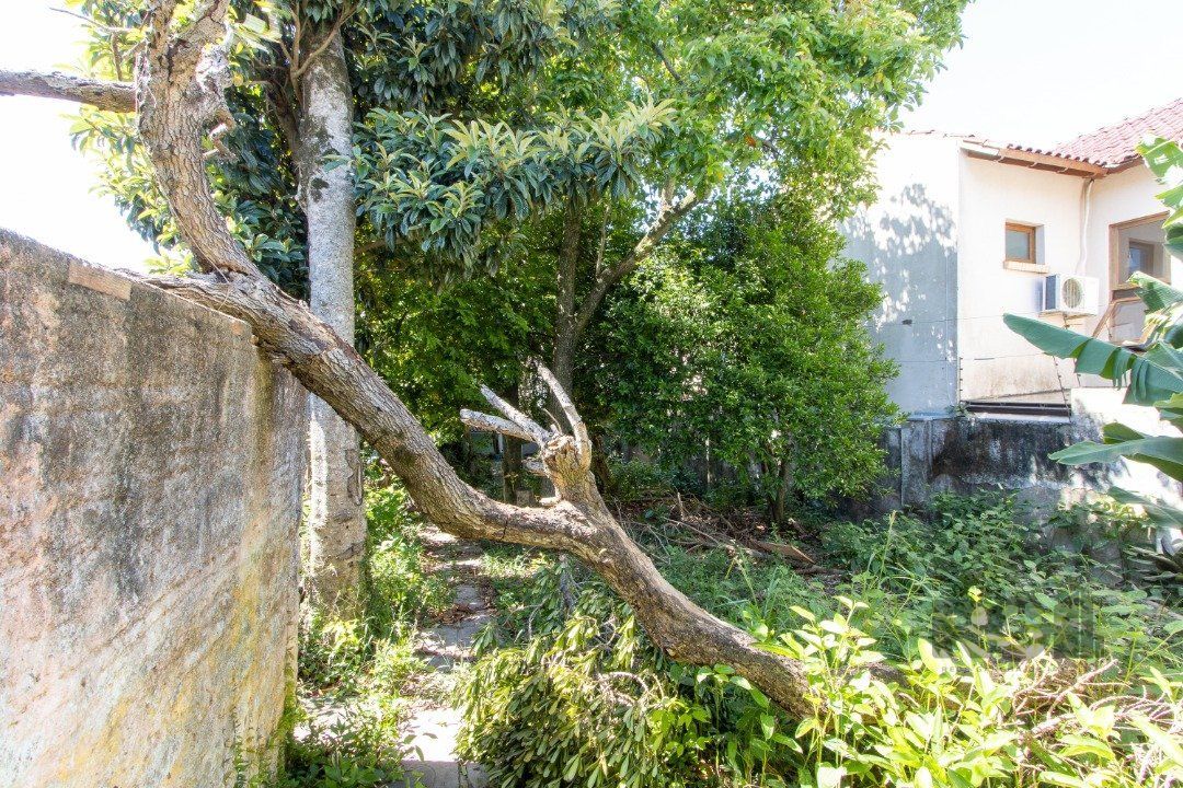 Casa à venda com 4 quartos, 284m² - Foto 44
