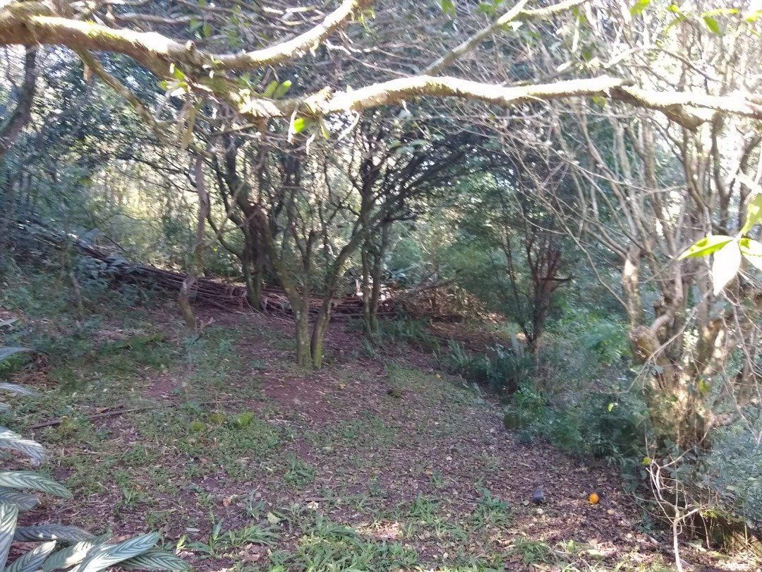 Terreno, 3032 m² - Foto 17