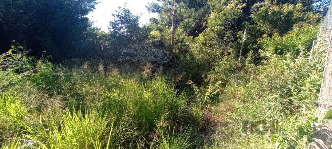 Terreno, 653 m² - Foto 8