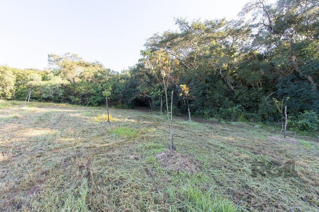 Terreno à venda, 96750m² - Foto 29