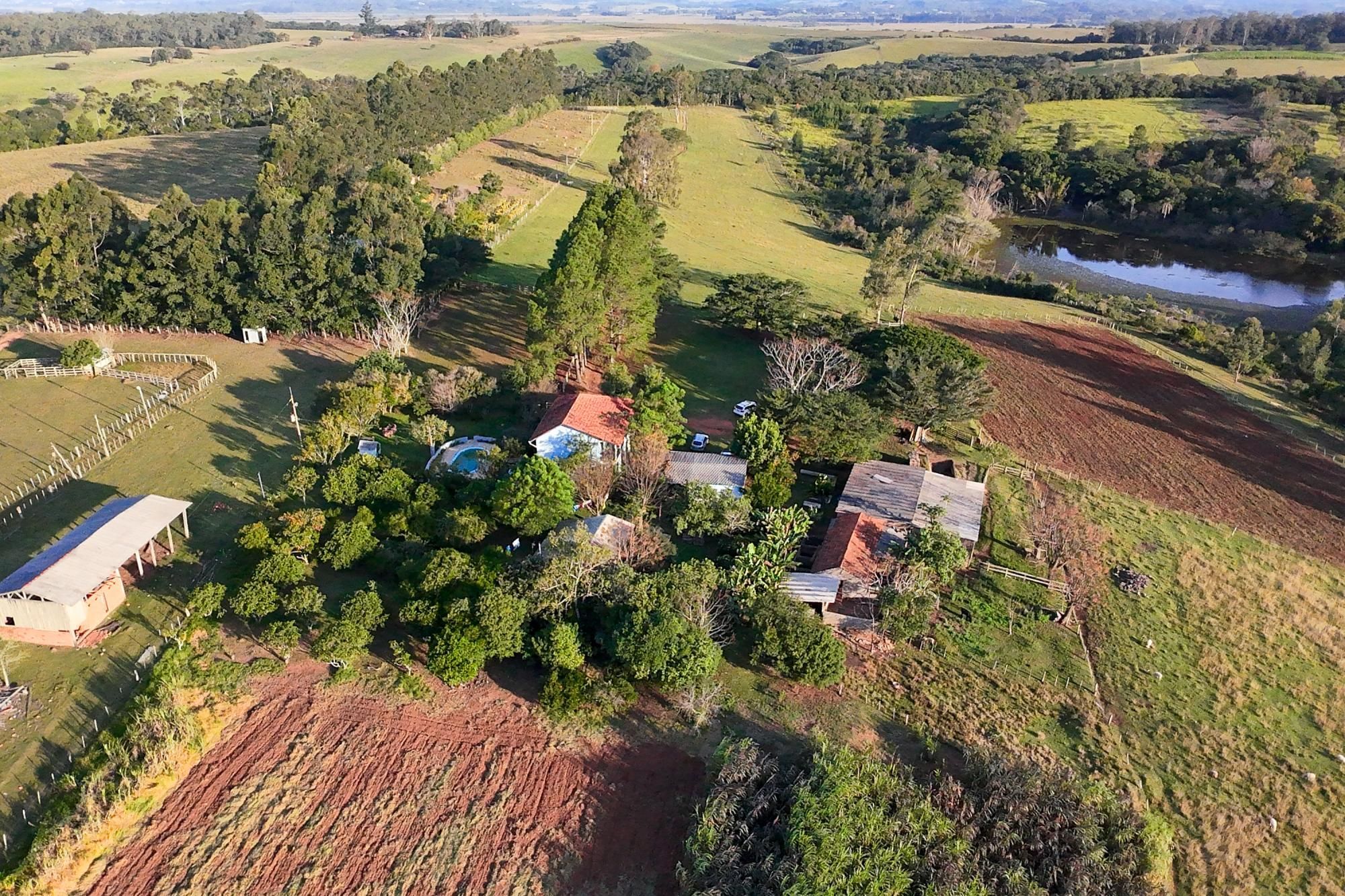 Sítio à venda com 3 quartos, 179m² - Foto 61