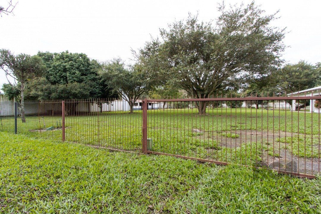 Sítio à venda com 3 quartos, 350m² - Foto 10