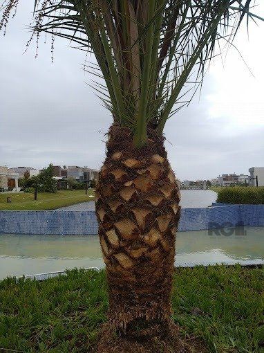 Casa de Condomínio, 5 quartos - Foto 5