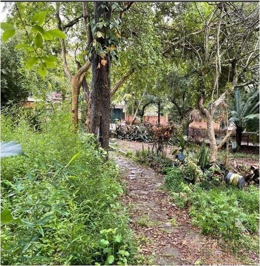 Terreno, 2378 m² - Foto 1