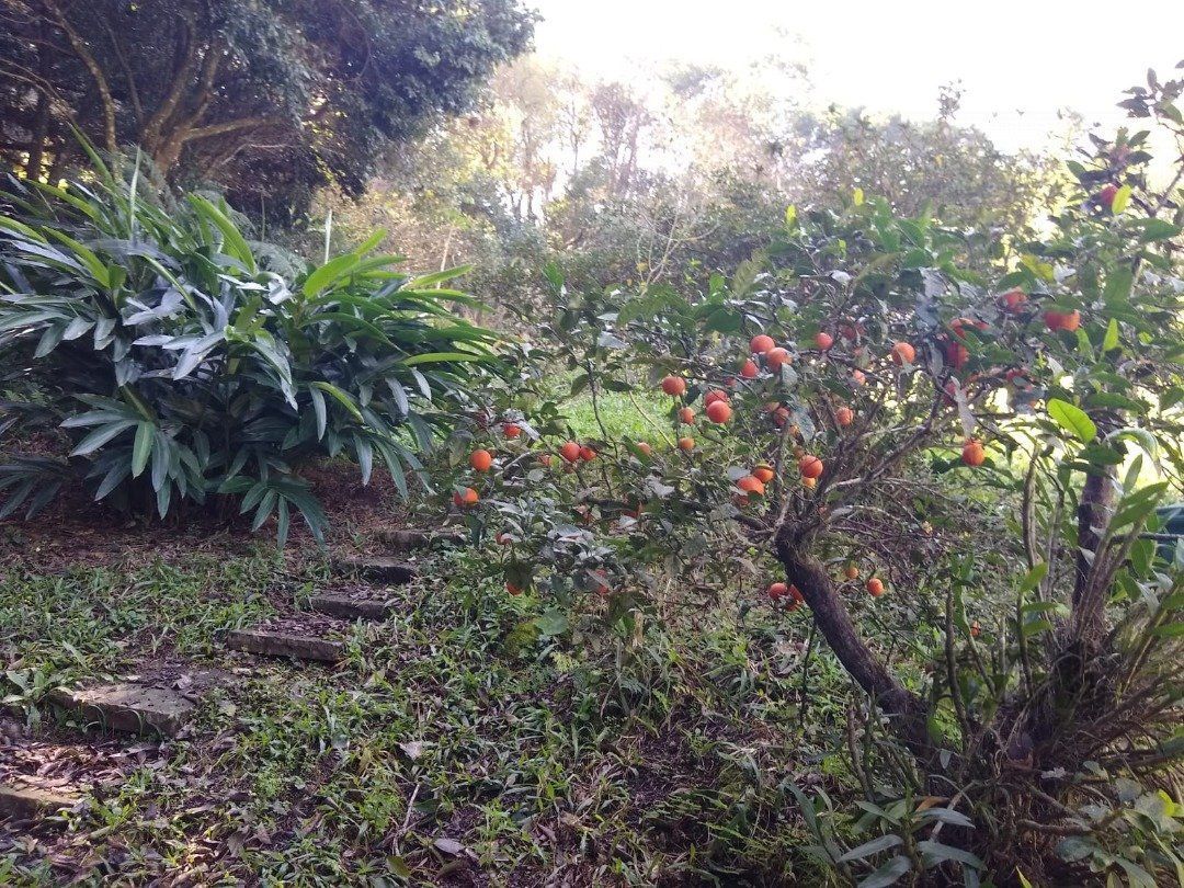 Terreno, 3032 m² - Foto 11