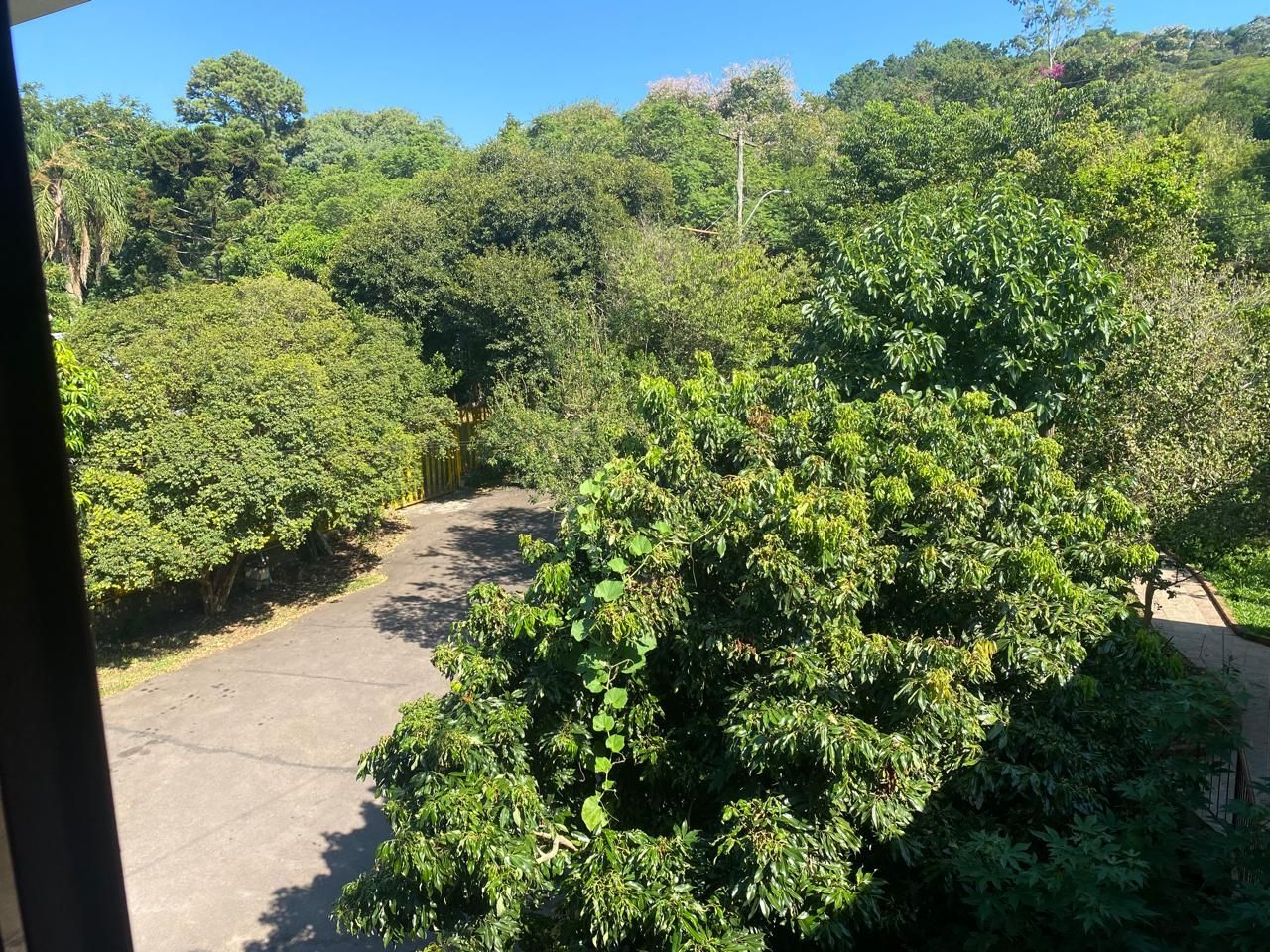 Casa, 3 quartos, 243 m² - Foto 15