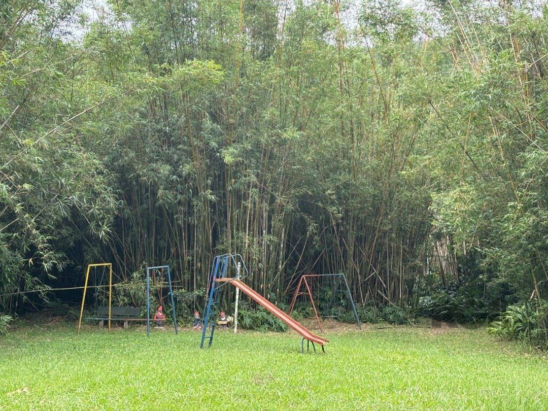 Sítio à venda com 5 quartos, 201m² - Foto 21