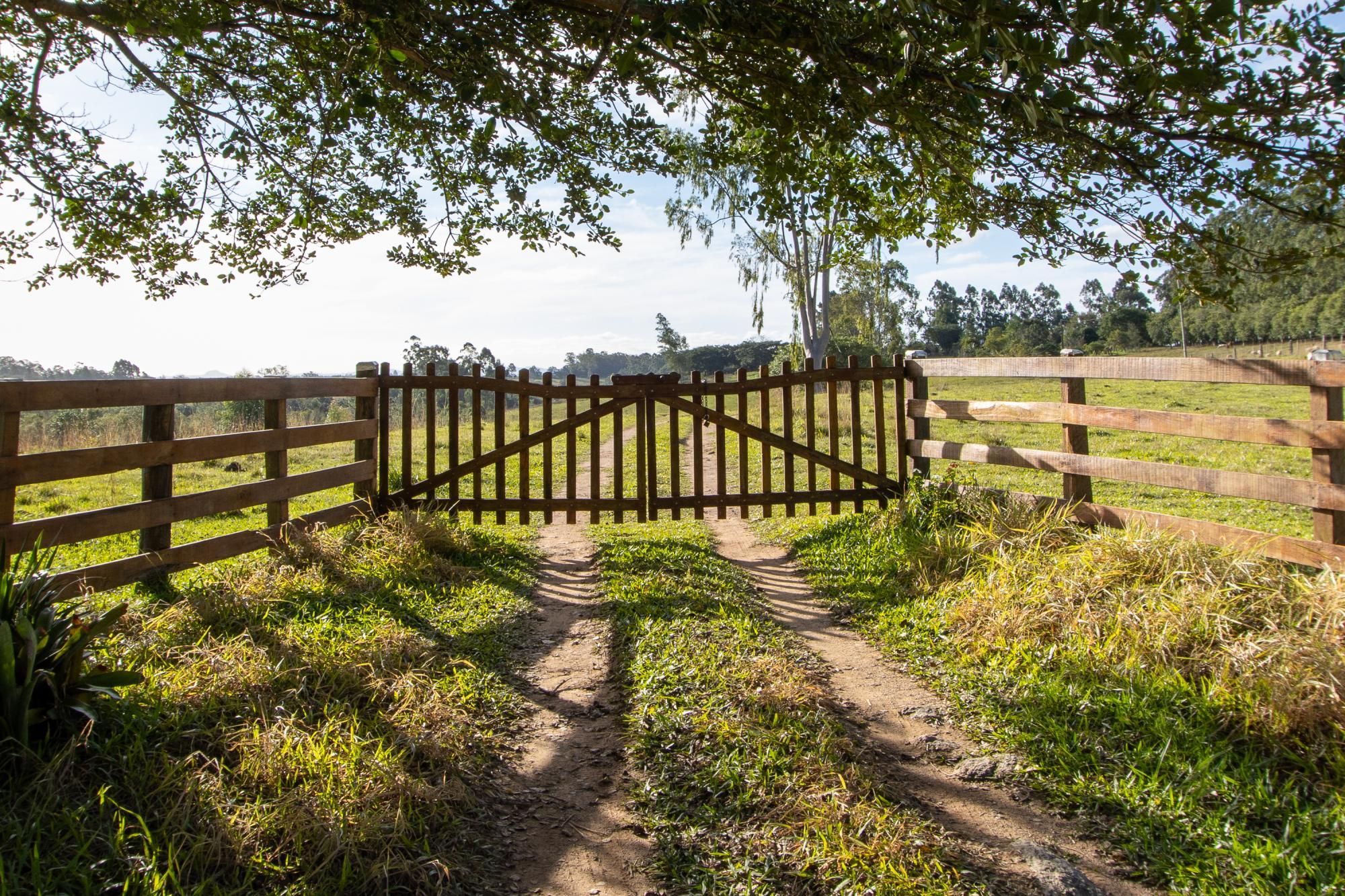 Sítio, 3 quartos, 8 hectares - Foto 1
