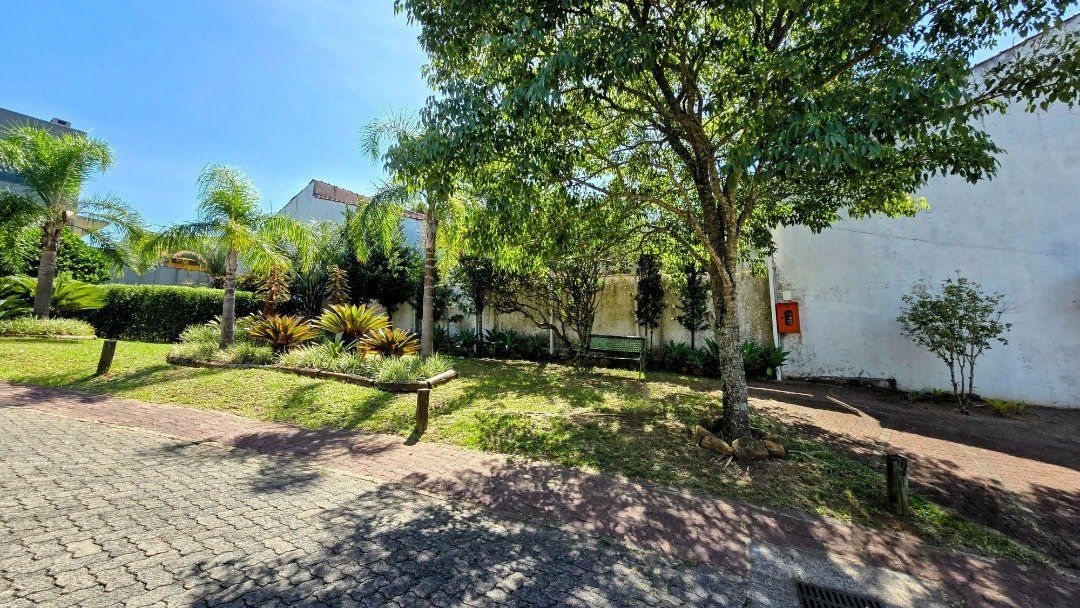 Terreno à venda, 241m² - Foto 9
