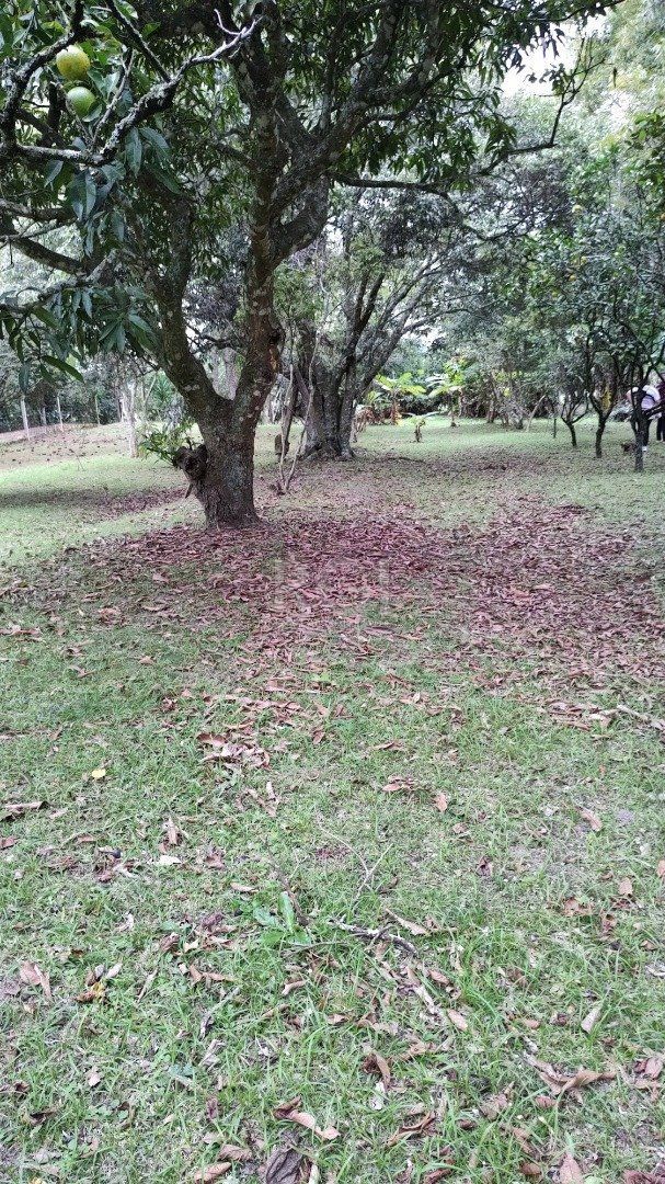 Sítio à venda com 6 quartos, 249m² - Foto 51