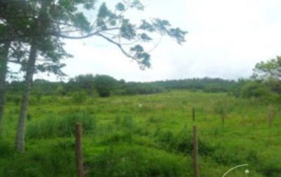 Terreno, 5 hectares - Foto 1