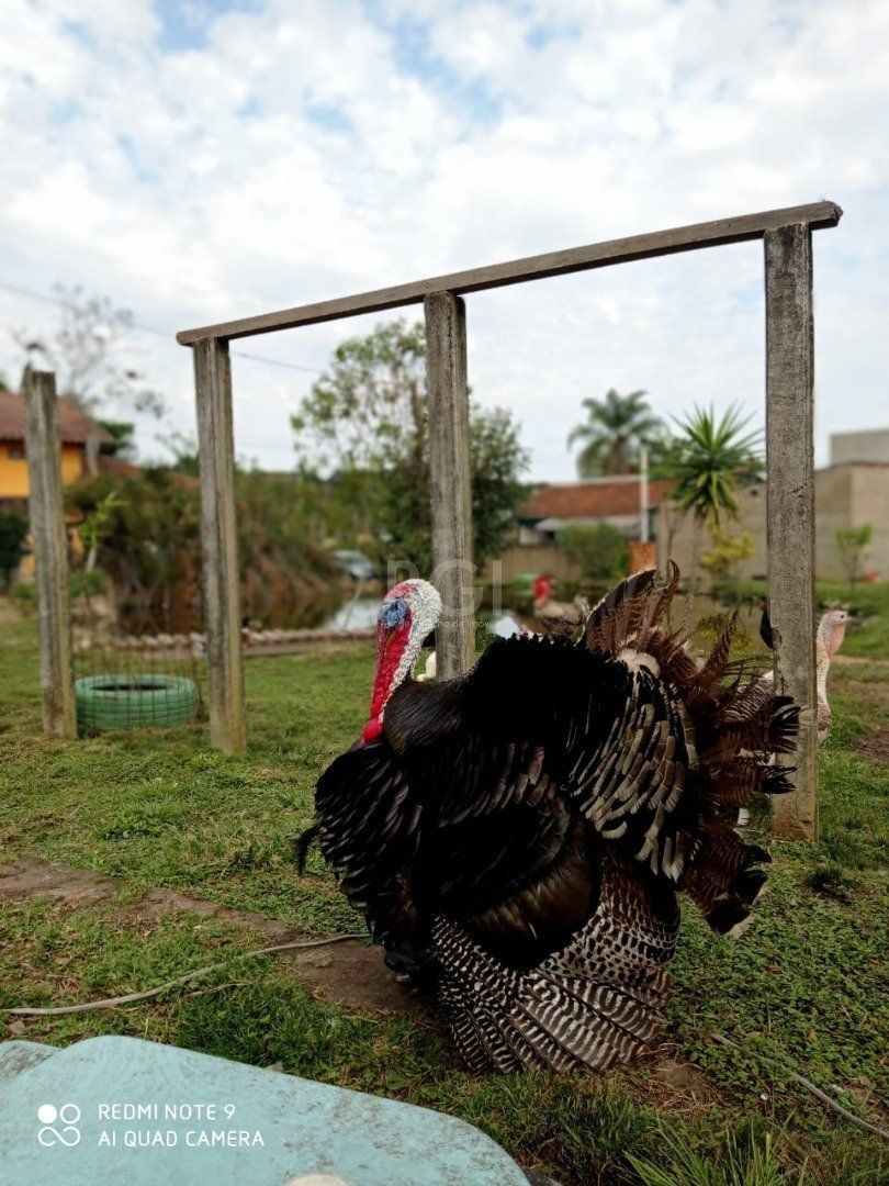 Chácara, 3 quartos, 3163 m² - Foto 33