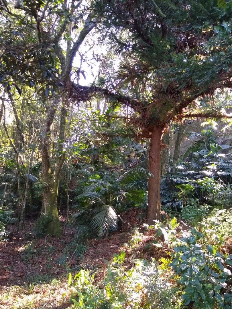 Terreno, 3032 m² - Foto 24