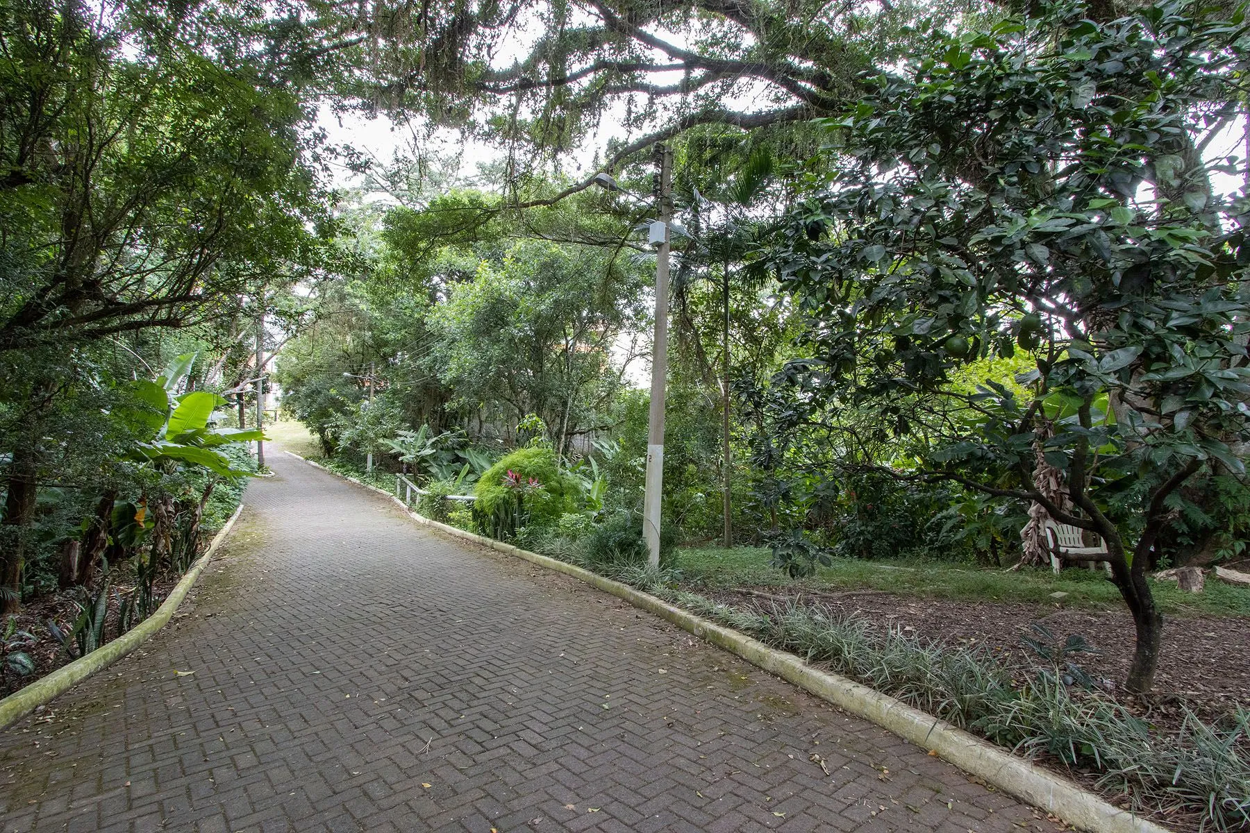 Casa de Condomínio, 4 quartos - Foto 68