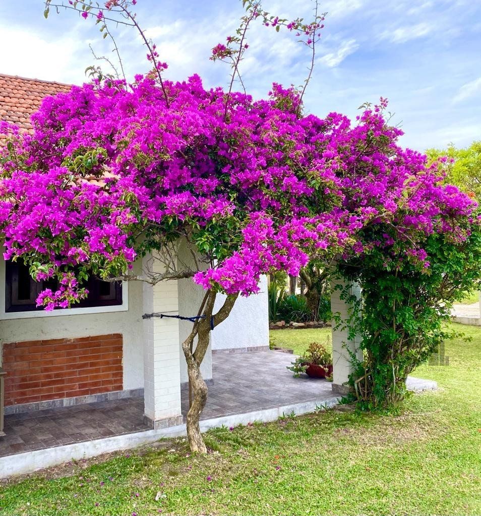 Casa, 5 quartos, 138 m² - Foto 1