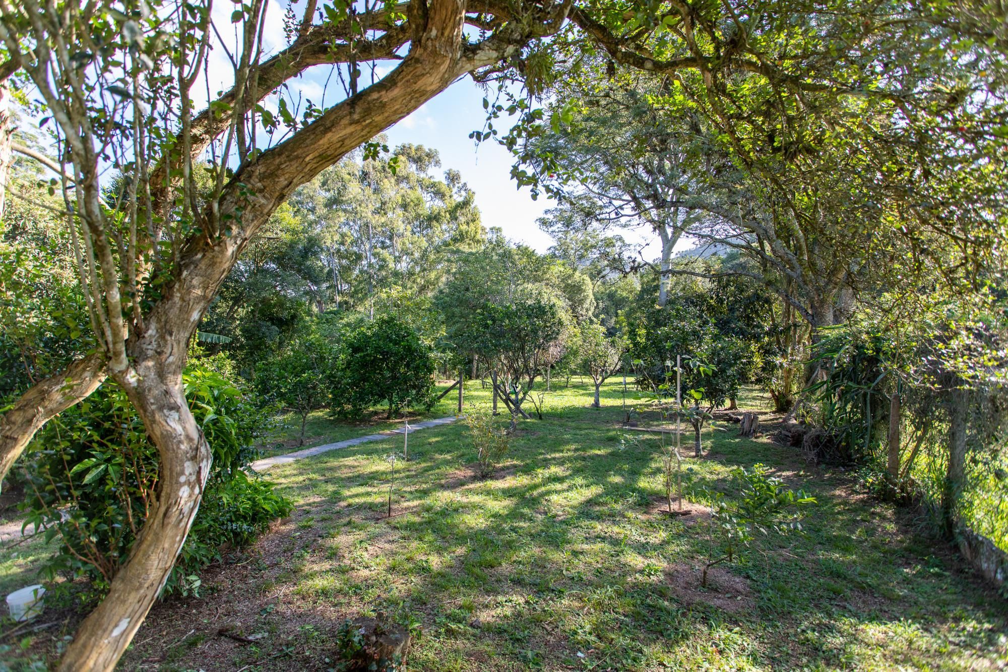 Sítio à venda com 1 quarto, 101m² - Foto 27