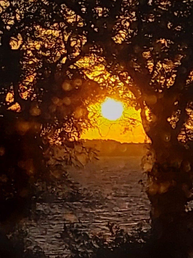 Casa de Condomínio, 4 quartos - Foto 53