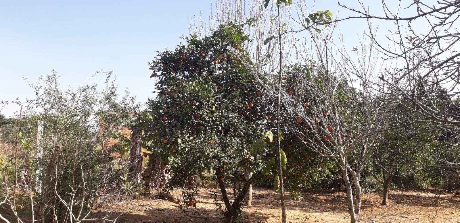 Casa, 4 quartos, 300 m² - Foto 46