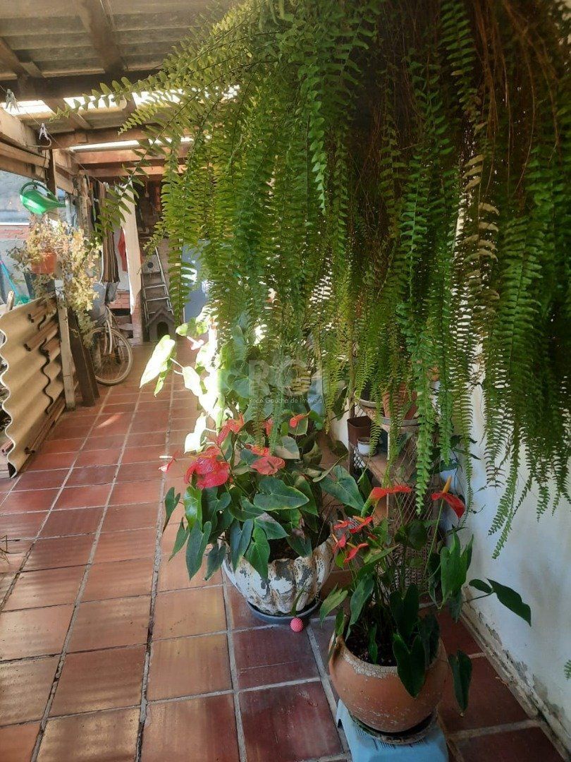 Casa, 4 quartos, 180 m² - Foto 33