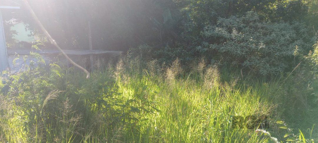 Terreno, 653 m² - Foto 7