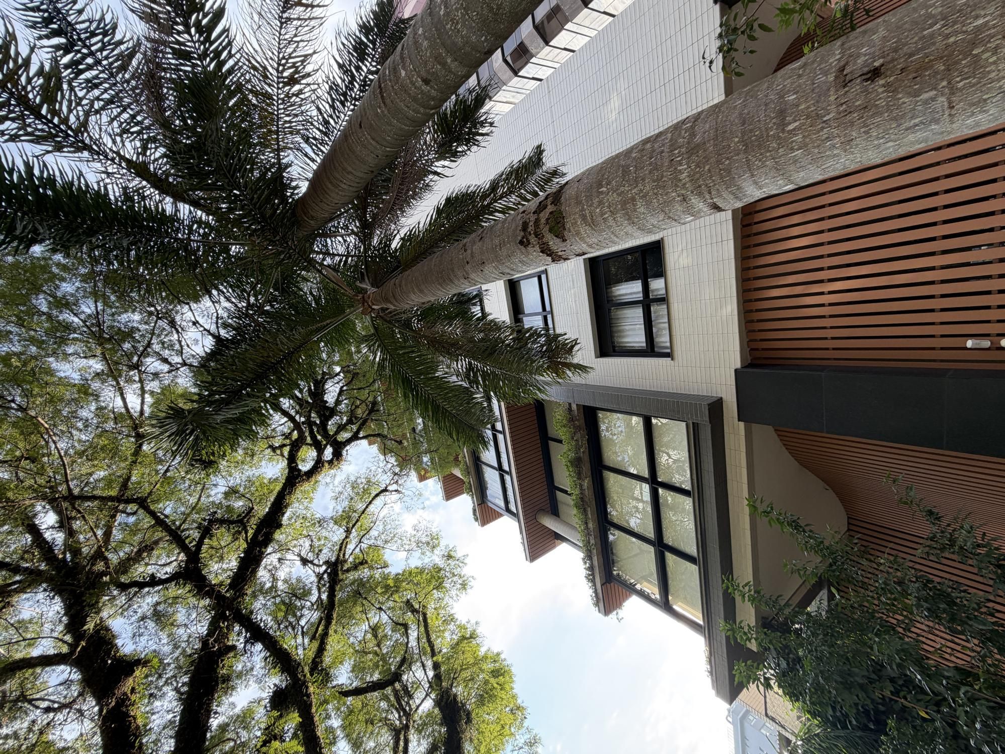 Apartamento com 3 dormitórios no Mont Serrat — foto 5