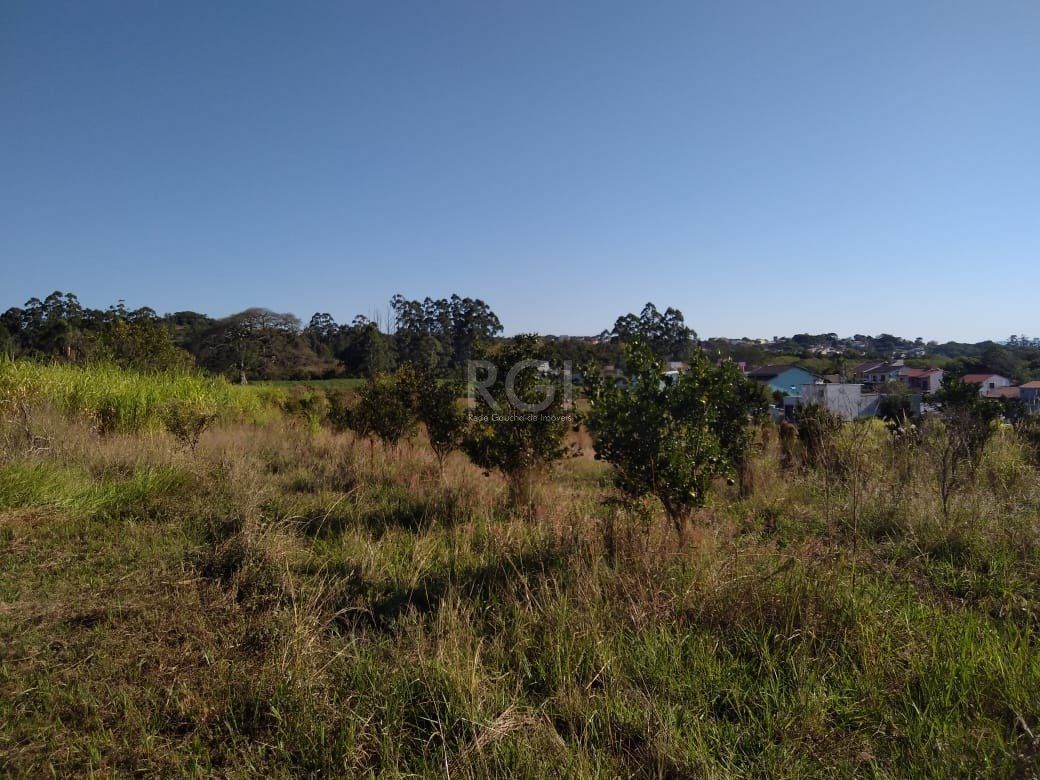 Terreno, 4 hectares - Foto 11