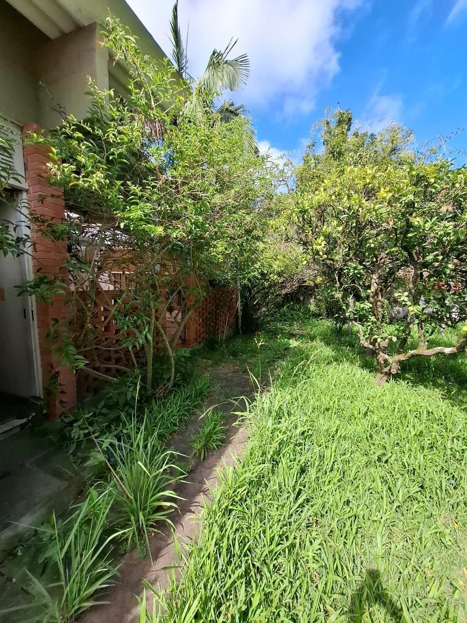 Casa à venda com 4 quartos, 250m² - Foto 12