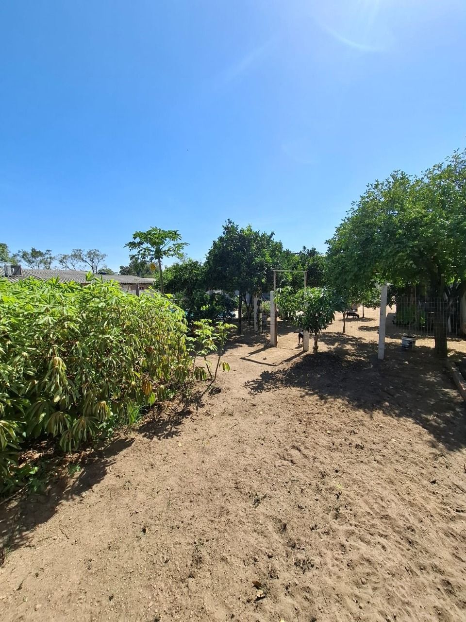 Casa, 2 quartos, 250 m² - Foto 35