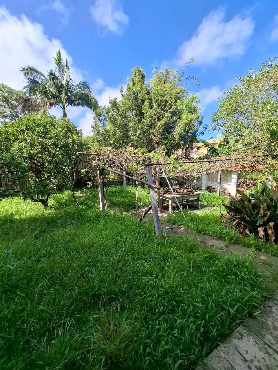 Casa à venda com 4 quartos, 250m² - Foto 18