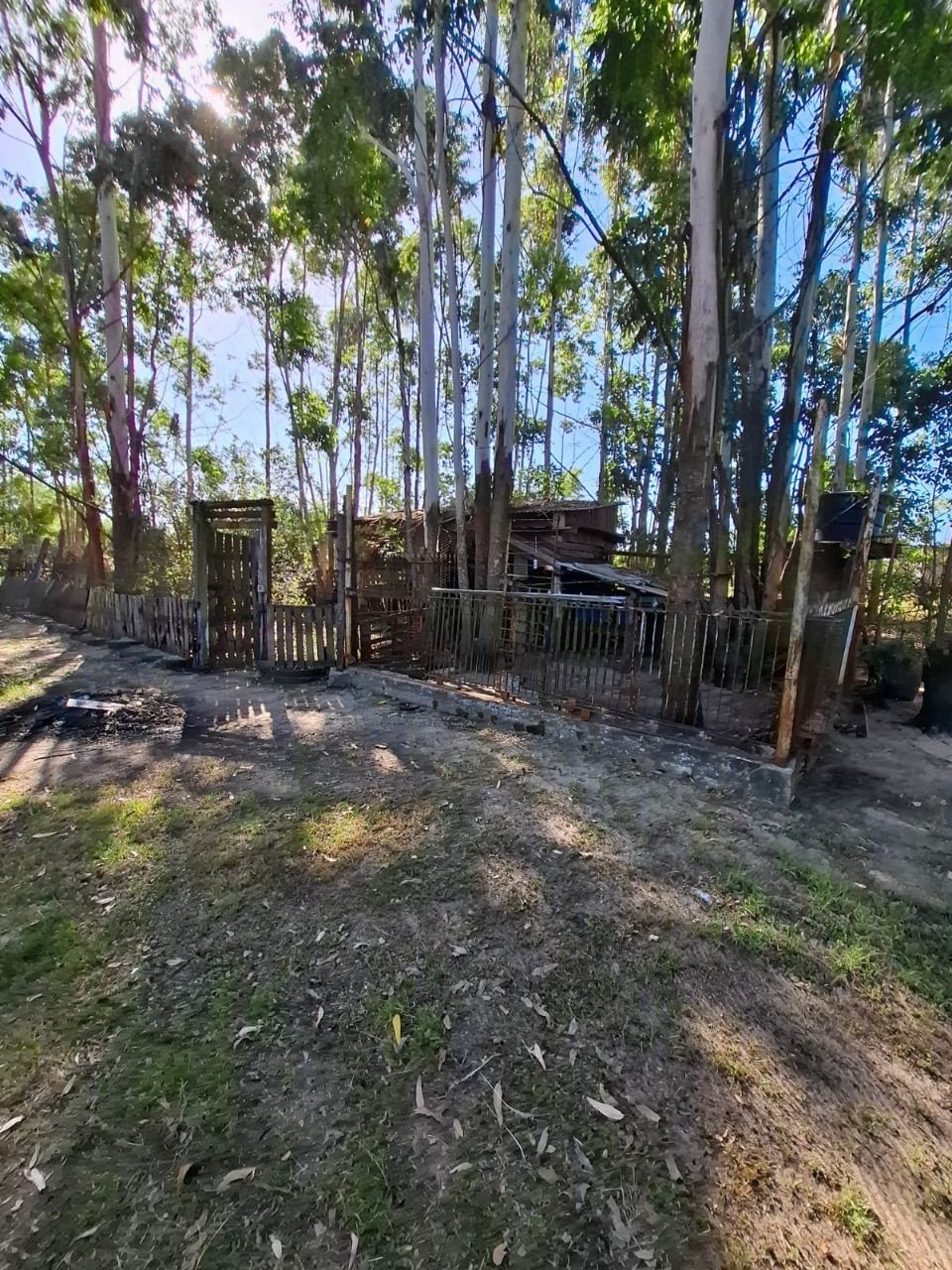 Sítio à venda com 4 quartos, 91m² - Foto 47
